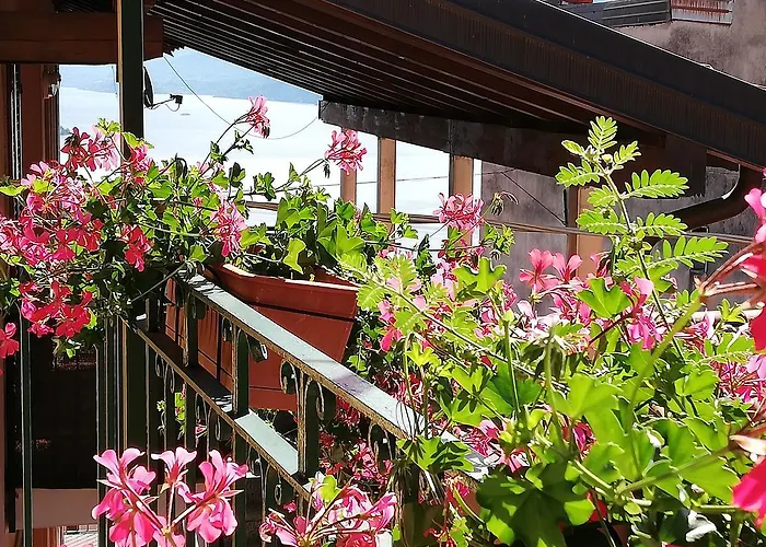 Bed & Breakfast Campino